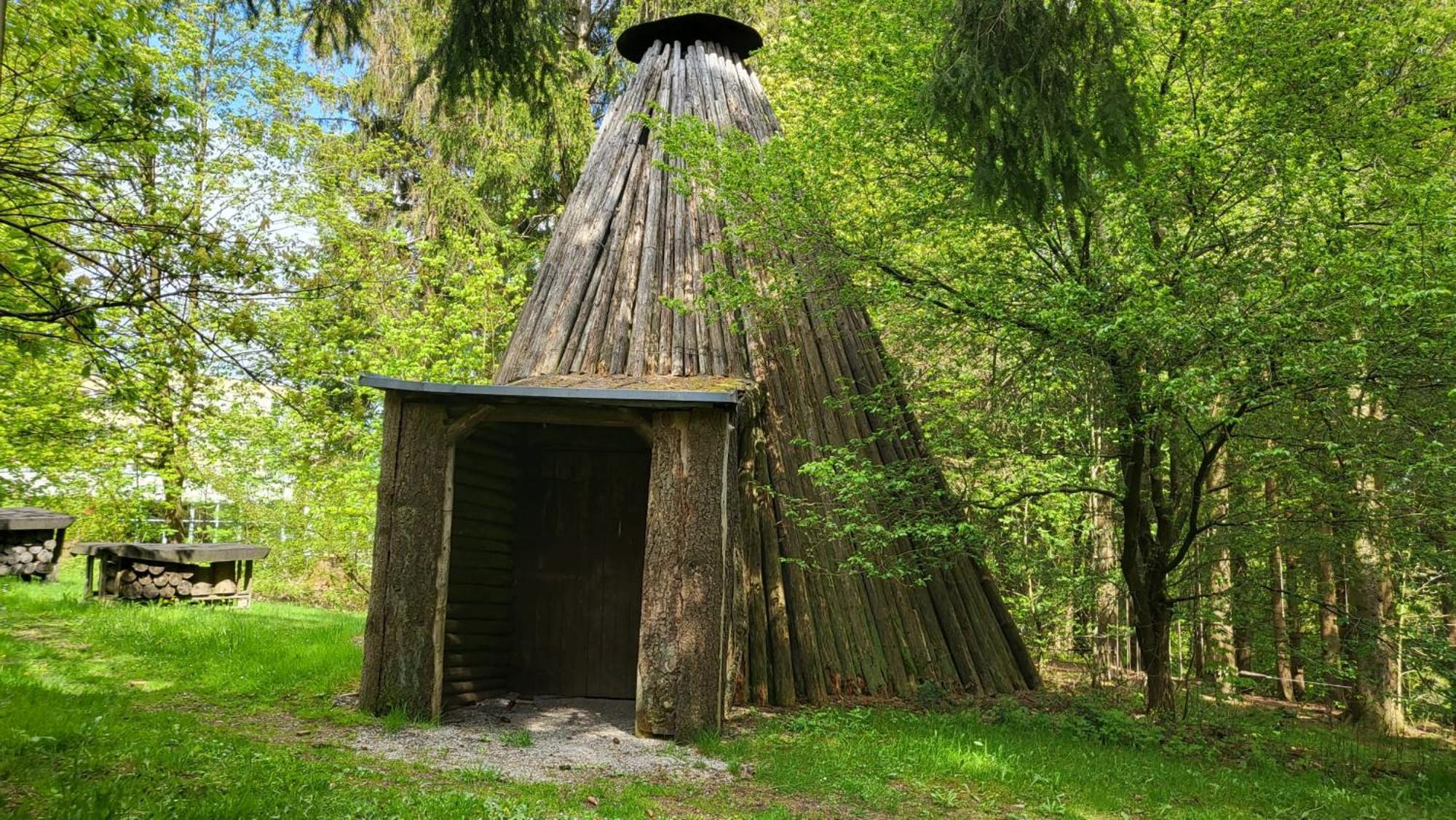 Familienwohnung Gruenwald Гослар Экстерьер фото